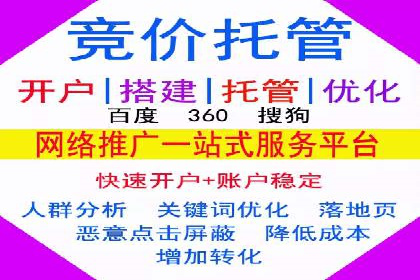 成功SEM推广代运营案例展示